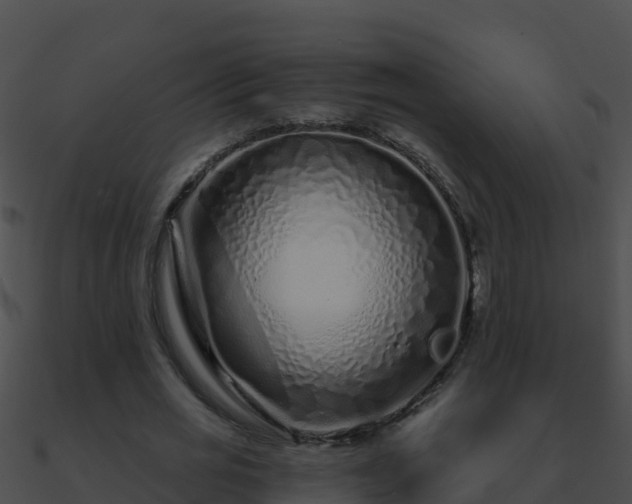 X0000090870725200708031008