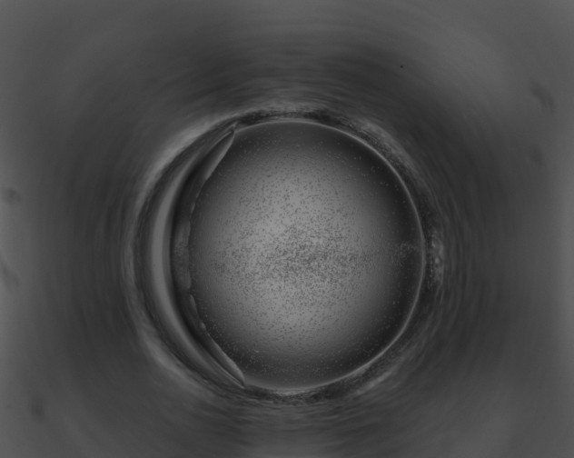 X0000090870726200708031008