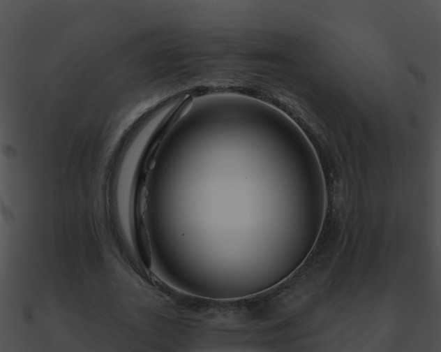 X0000090870727200708031009