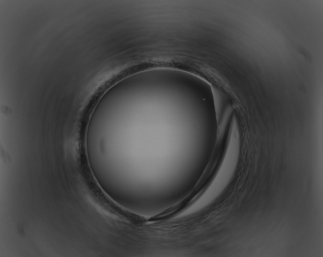 X0000090870728200708031009