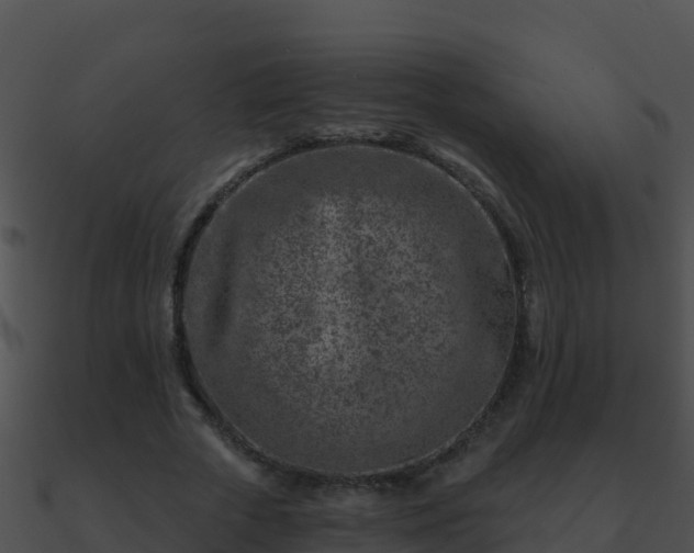 X0000090870729200708031009