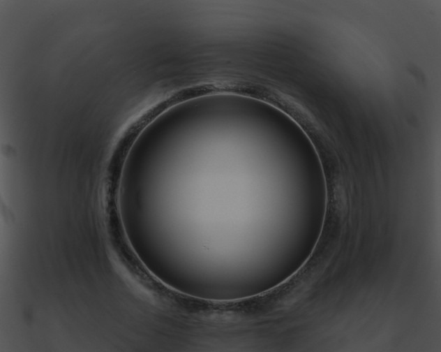 X0000090870730200708031009