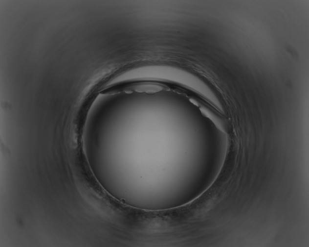 X0000090870731200708031009