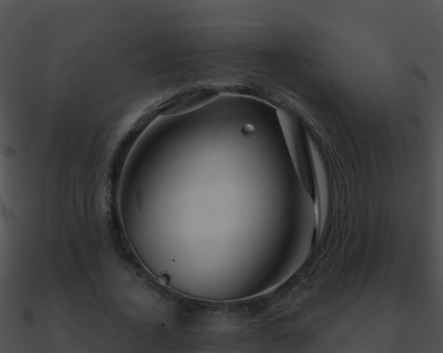 X0000090870732200708031009