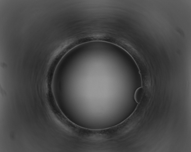 X0000090870734200708031009