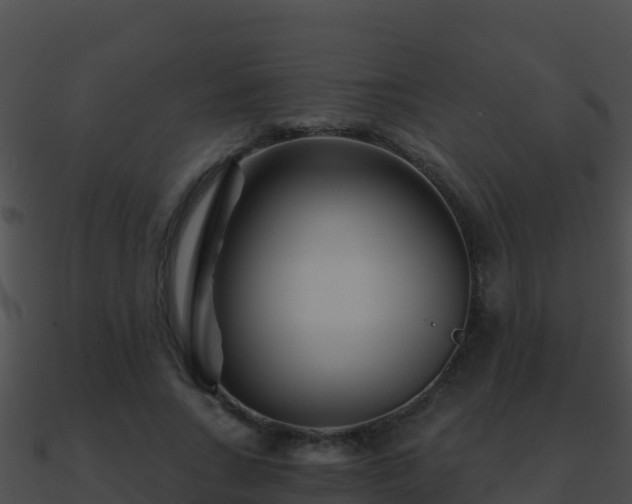 X0000090870735200708031009