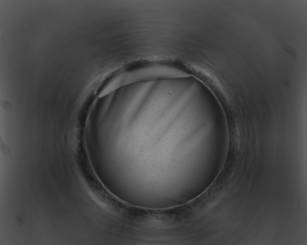 X0000090870736200708031009