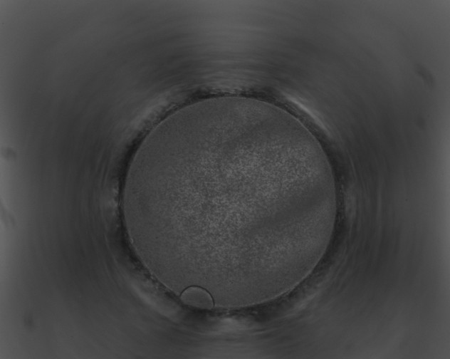 X0000090870737200708031009