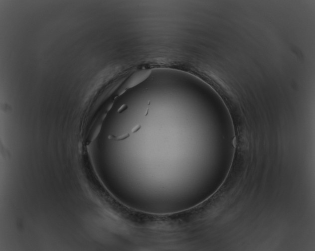 X0000090870738200708031009