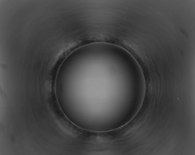 X0000090870739200708031009