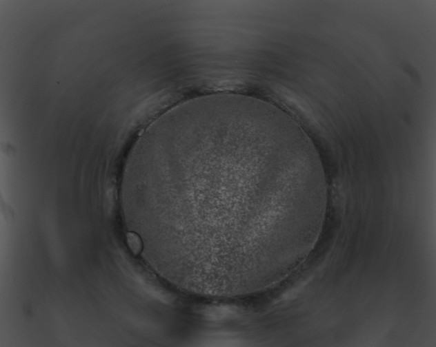 X0000090870741200708031009