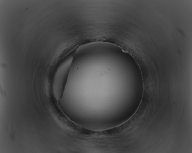 X0000090870742200708031009