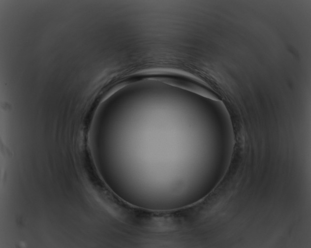 X0000090870744200708031009