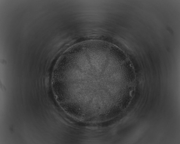 X0000090870745200708031009