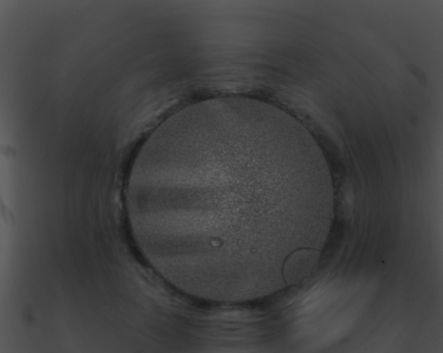 X0000090870746200708031009