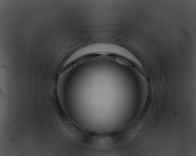 X0000090870747200708031009