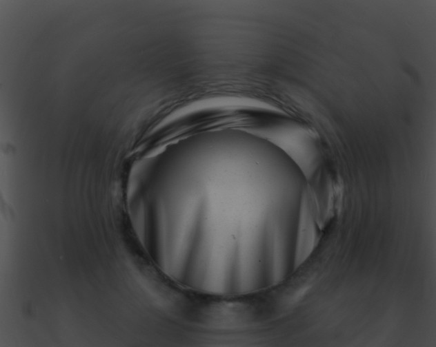 X0000090870748200708031009