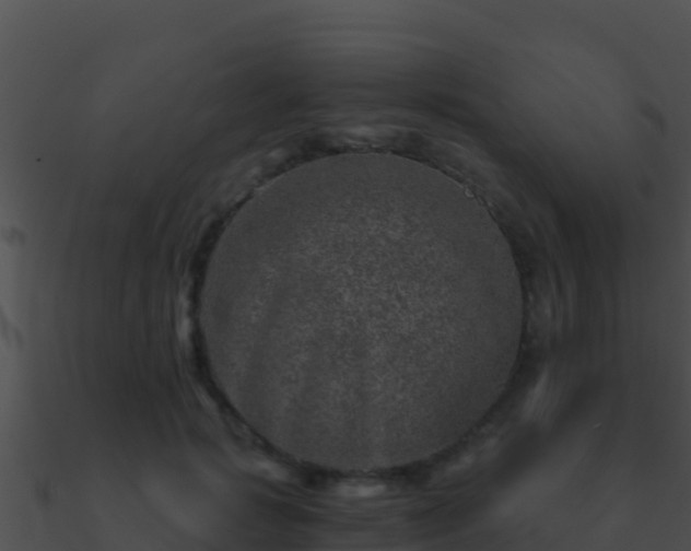 X0000090870749200708031009