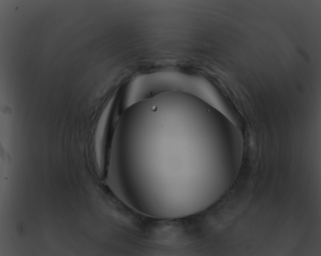 X0000090870750200708031009