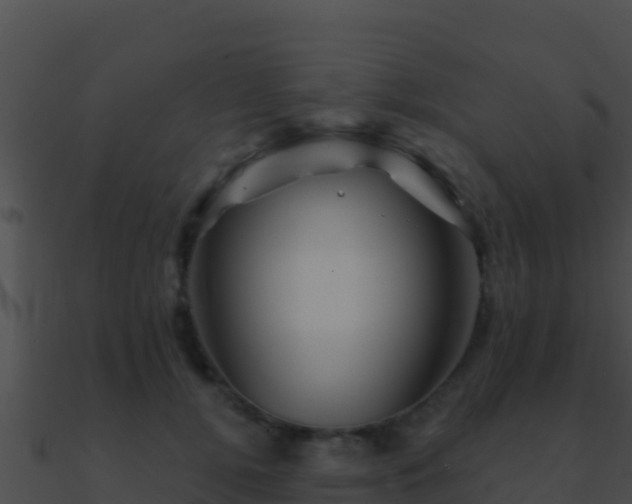 X0000090870752200708031009