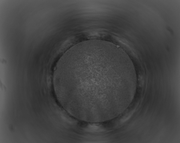 X0000090870753200708031009