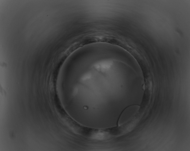 X0000090870754200708031009