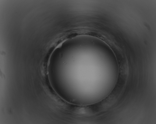 X0000090870755200708031009