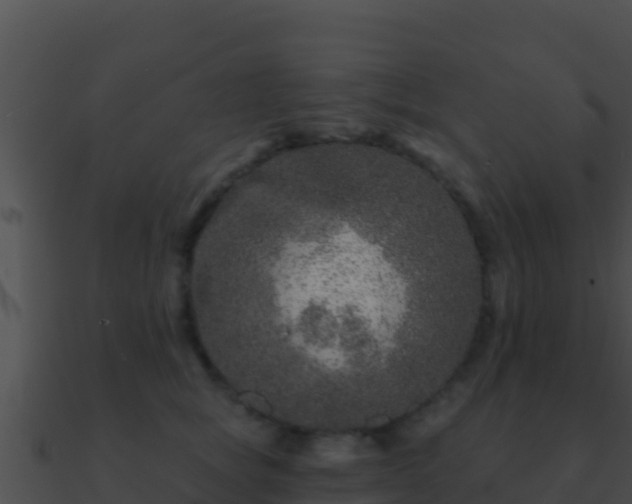 X0000090870757200708031009