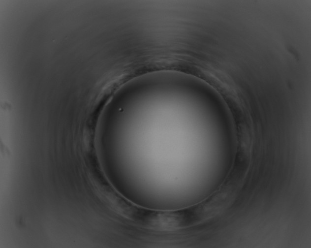 X0000090870758200708031009