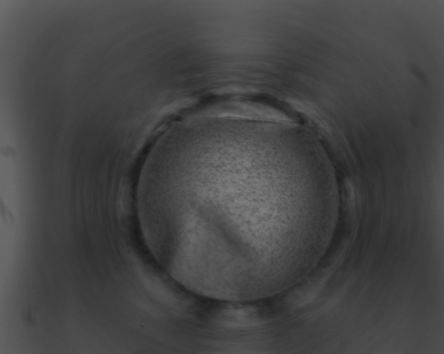 X0000090870760200708031009