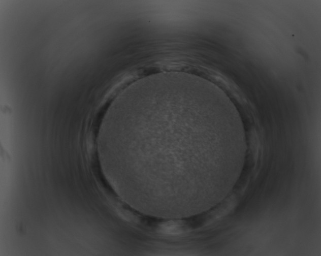 X0000090870761200708031009