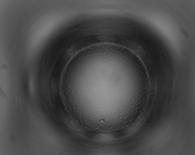 X0000090870765200708031009