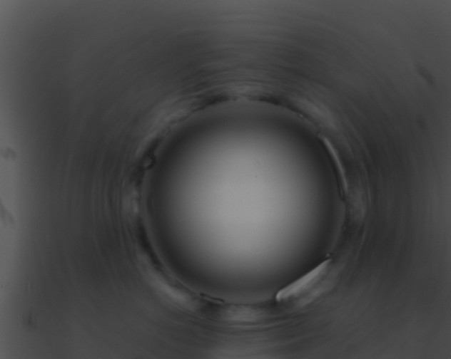 X0000090870766200708031009