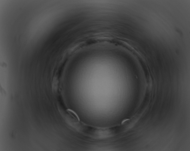 X0000090870767200708031009