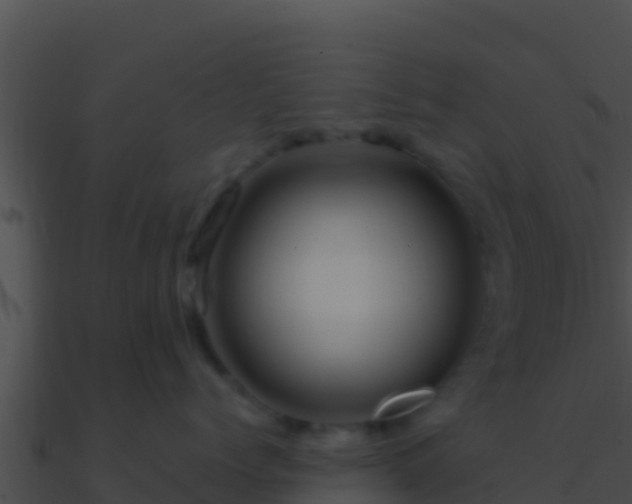 X0000090870768200708031009