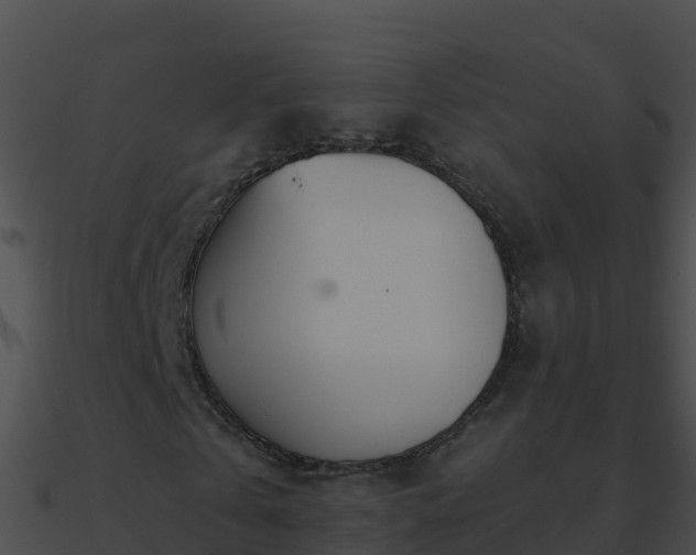 X0000090870769200708031008