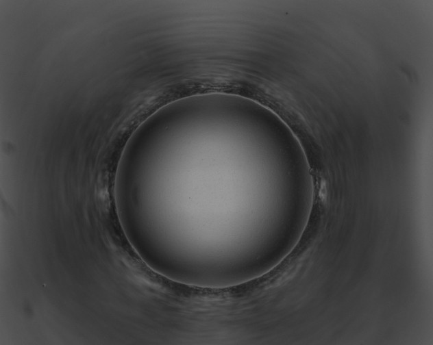 X0000090870771200708031008