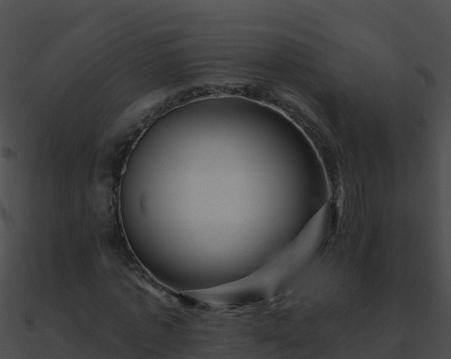 X0000090870773200708031008