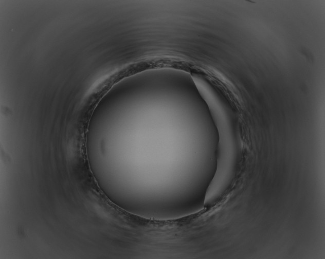 X0000090870775200708031008