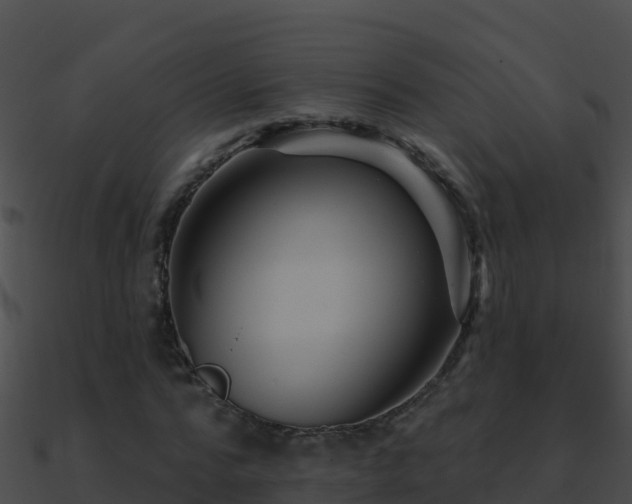 X0000090870776200708031008