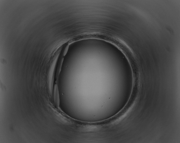 X0000090870777200708031008