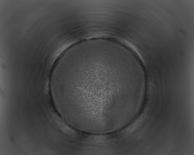 X0000090870778200708031008