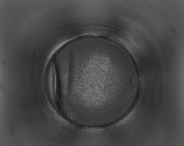 X0000090870779200708031008