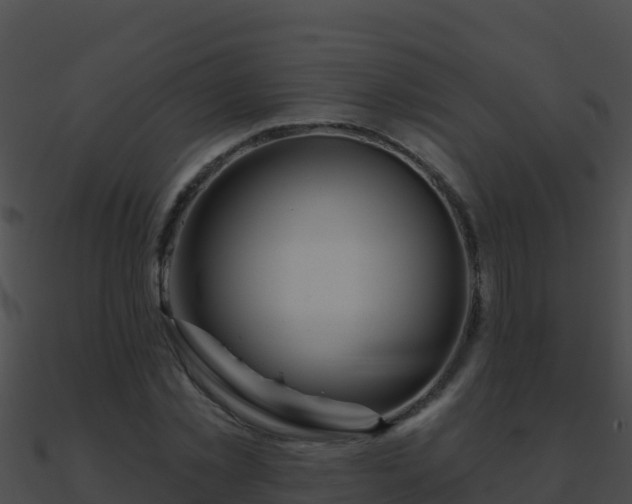 X0000090870781200708031008