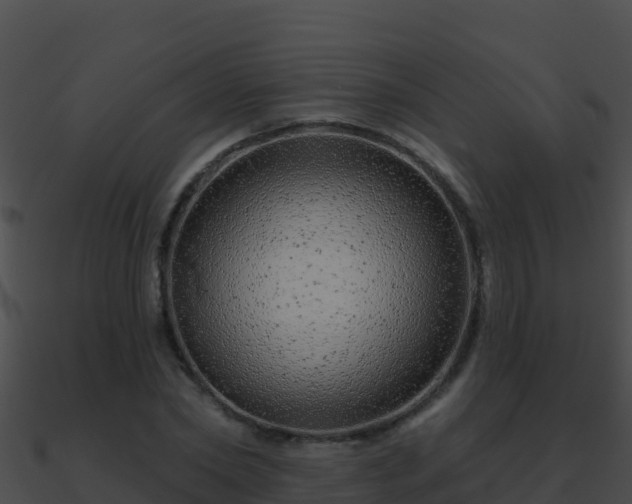 X0000090870782200708031008