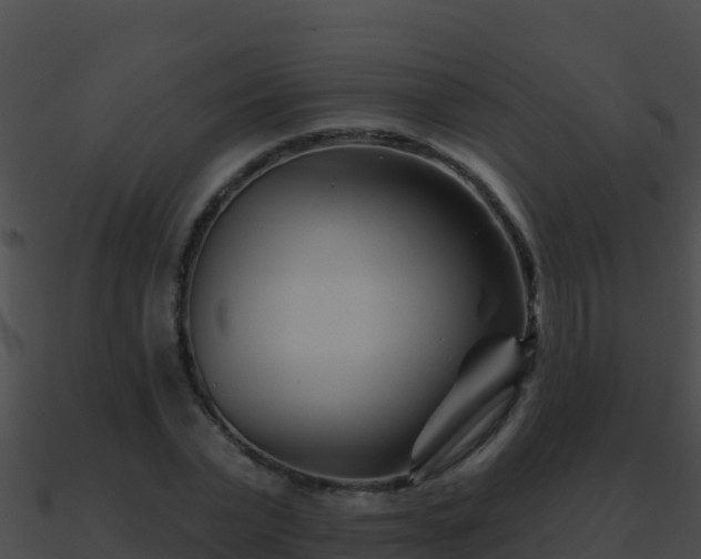 X0000090870783200708031008