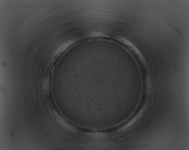 X0000090870785200708031008