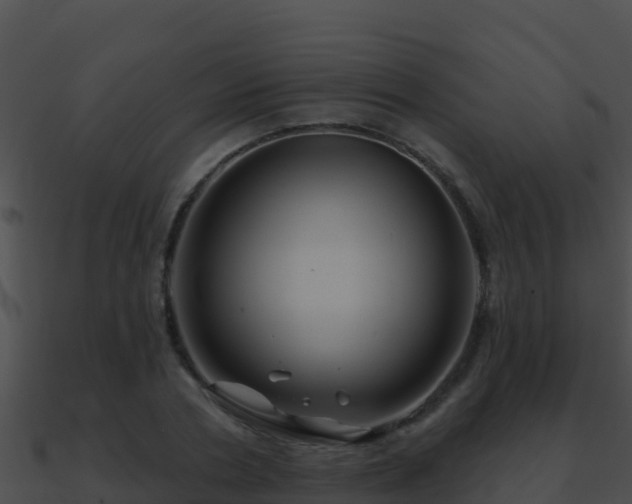 X0000090870786200708031008