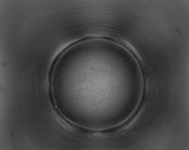 X0000090870787200708031008