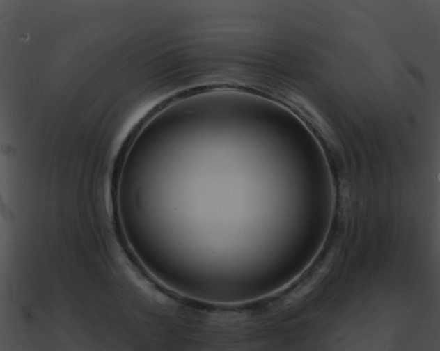 X0000090870788200708031008